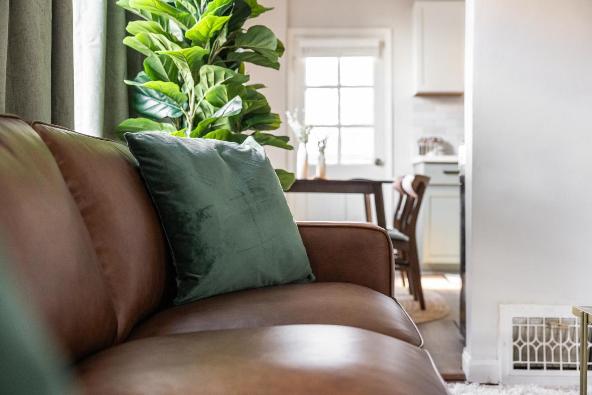 Mid-Century Modern Retreat In Little Italy Lejlighed Cleveland Eksteriør billede